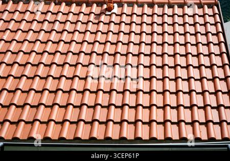 Vista ravvicinata di un tetto in terracotta ordinato con tradizionali piastrelle di argilla. Foto Stock