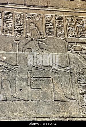 Antico rilievo di Thoth, il dio egizio della saggezza e della scrittura, scolpito sulle pareti del Tempio di file ad Assuan, in Egitto. Foto Stock
