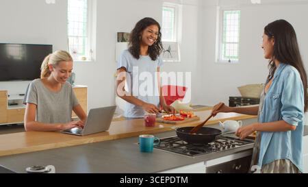Gruppo di amiche multiculturali che preparano il pasto insieme nella cucina moderna Foto Stock