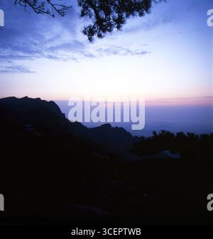 Pre-alba sul Monte Lu (Lushan), Jiujiang, Jiangxi, Cina - profilo di montagna e pino Foto Stock