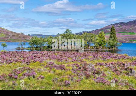 Loch Tarff, Fort Augustus, Inverness shire, Scozia Foto Stock