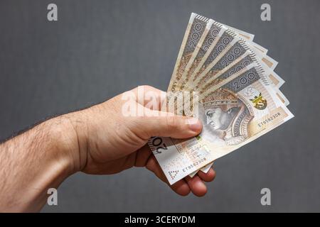 Mano maschile che tiene in mano un fan di banconote polacche di duecento zloty su sfondo scuro. Concetto di pagamento. Foto di alta qualità Foto Stock