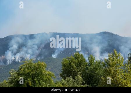 Fumo di fuoco della foresta che si innalza dagli alberi di montagna. Foto Stock