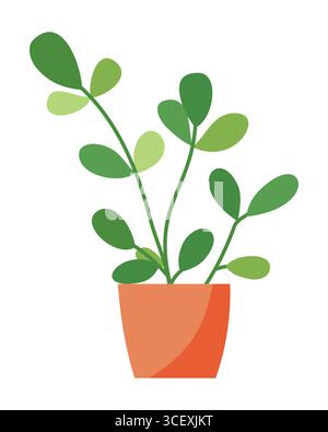 Pianta di casa con foglie verdi rotonde in un piccolo vaso di ceramica arancione. Elemento di design dell'impianto fogliame per interni isolato su sfondo bianco. Botanico vettoriale Illustrazione Vettoriale