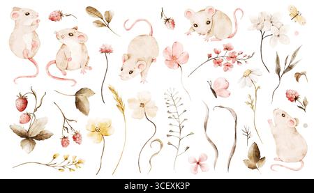 Simpatici topi di campo, fiori selvatici, bacche, erbe e foglie. Set clipart di acquerello isolato. Illustrazione disegnata a mano in colori pastello per stampe vivaistiche, Foto Stock