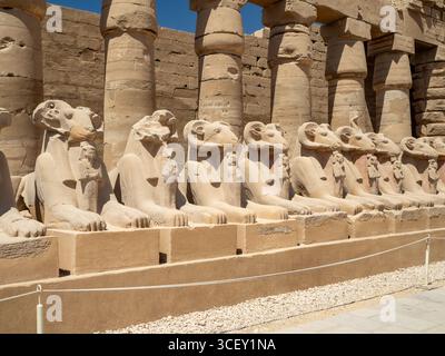 Luxor, Egitto - 17 agosto 2025: Ingresso del tempio di Karnak, con file di statue di sfinge con testa di ariete che costeggiano il viale delle Sfingi, che conduce a t Foto Stock