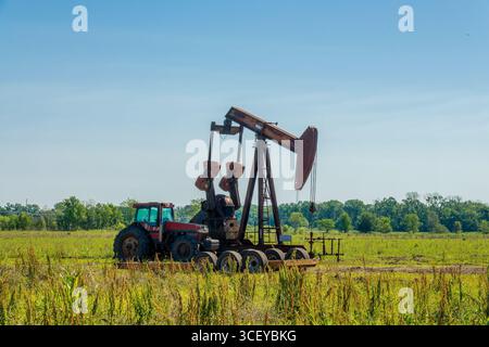 Foto della pompa dell'olio "cavalletta" del martinetto di pompaggio in un campo, estrazione del petrolio e perforazione, energia fossile Foto Stock