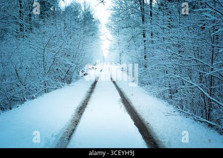 Una favolosa vista invernale di una strada innevata con piste per auto nella foresta di Nowiny, Polonia orientale. Foto Stock