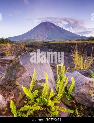 Il Monte Semeru è una destinazione maestosa e mozzafiato nell'est di Giava, caratterizzata da terreni accidentati e da una straordinaria bellezza naturale Foto Stock