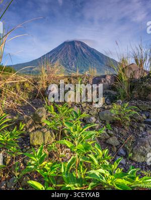 Il Monte Semeru è una destinazione maestosa e mozzafiato nell'est di Giava, caratterizzata da terreni accidentati e da una straordinaria bellezza naturale Foto Stock