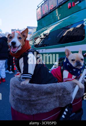 Sensoji, Tokyo - 1 gennaio 2025 - visita di Capodanno al Tempio di Sensoji a Tokyo (Hatsumode) Foto Stock