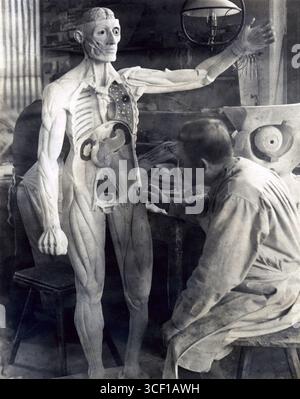 Nel 1922 fu creata una figura maschile a grandezza naturale per la mostra De Mensch ad Amsterdam. I muscoli venivano applicati al modello nelle loro posizioni naturali, seguite dall'aggiunta di vene e arterie per rappresentare accuratamente il corpo umano. Foto Stock
