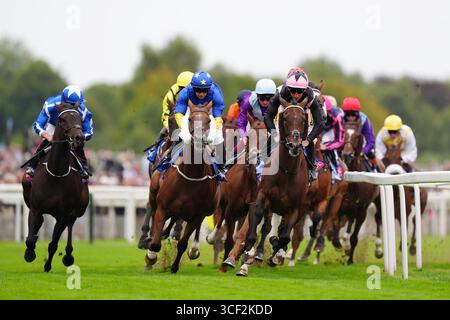 Corridori e piloti si sfidano nello Sky Bet Stayers handicap il primo giorno dello Sky Bet Ebor Festival 2025 all'ippodromo di York. Data foto: Mercoledì 20 agosto 2025. Foto Stock