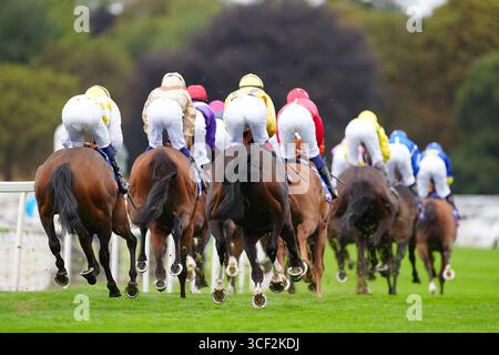 Corridori e piloti si sfidano nello Sky Bet Stayers handicap il primo giorno dello Sky Bet Ebor Festival 2025 all'ippodromo di York. Data foto: Mercoledì 20 agosto 2025. Foto Stock
