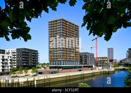Le più alte radici di grattacieli in legno della Germania e Baakenhafen nella HafenCity di Amburgo, Germania Foto Stock