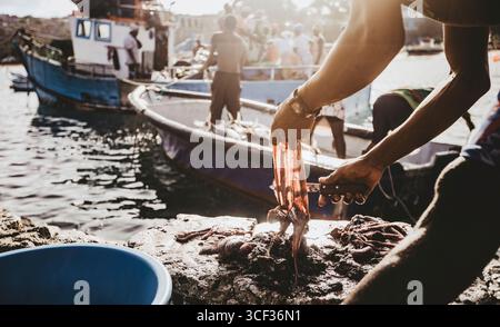 La vita dei pescatori sulla piccola isola di Capo Verde di Santiago nella città di Tarrafal Foto Stock