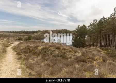 Vista di una radura e di un ormeggio nella zona forestale dell'isola di Römo, Danimarca Foto Stock