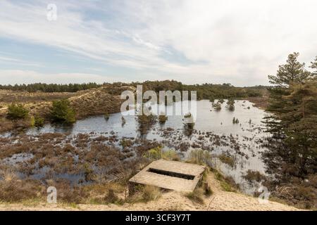 Vista di una radura e di un ormeggio nella zona forestale dell'isola di Römo, Danimarca Foto Stock