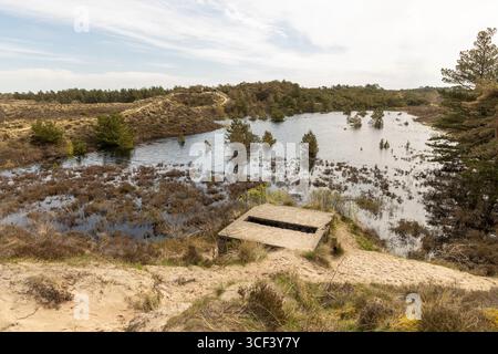 Vista di una radura e di un ormeggio nella zona forestale dell'isola di Römo, Danimarca Foto Stock