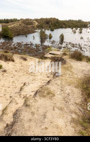 Vista di una radura e di un ormeggio nella zona forestale dell'isola di Römo, Danimarca Foto Stock