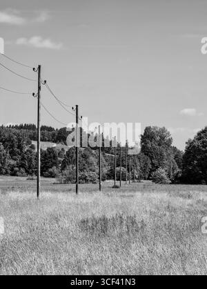 Sulla Laugna nel Parco naturale delle foreste occidentali di Augusta tra Welden ed Emersacker Foto Stock
