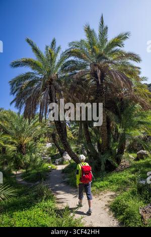 Una donna che cammina nel palmeto di Preveli, nella gola di Preveli (gola di Kourtaliotiko), nelle palme cretesi (Phoenix theophrasti), vicino alla foce della gola sulla spiaggia delle palme di Preveli, comune di Agios Vasilios, distretto regionale di Rethymno, Creta, Grecia, Europa Foto Stock