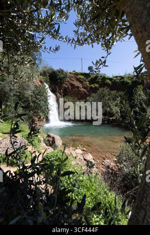 Cascata in mezzo alla natura, splendido corso fluviale e cascata in primavera. La cascata Queda do Vigario vicino ad alte, Algarve, Portogallo Foto Stock