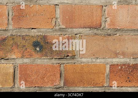 Pareti in mattoni con agenti atmosferici, che mostrano toni caldi con macchie scure e texture usurate. Le imperfezioni e lo scolorimento evidenziano il passare del tempo. Foto Stock