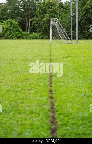 Una linea sterrata dritta che conduce a un palo per la porta di calcio su un campo sportivo erboso. Foto Stock
