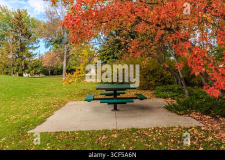 Wiggins Park si trova in zona Holliston di Saskatoon. Foto Stock