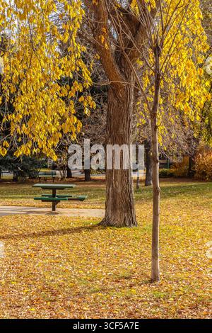 Wiggins Park si trova in zona Holliston di Saskatoon. Foto Stock