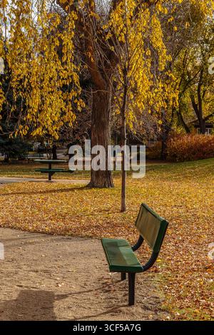 Wiggins Park si trova in zona Holliston di Saskatoon. Foto Stock