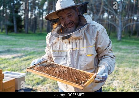 Apicoltore esperto che ispeziona il telaio a nido d'ape per la salute dell'alveare e la produzione di miele Foto Stock