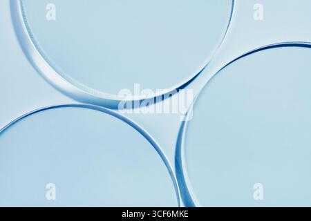 Primo piano delle capsule di Petri vuote su sfondo blu Foto Stock