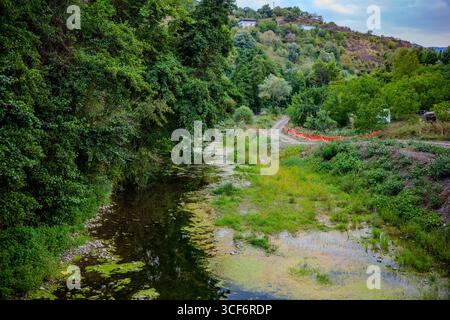 Ruscello poco profondo con alghe e vegetazione lungo le sue rive a Başiskele, Kocaeli, Türkiye, circondato da alberi lussureggianti e da una strada sterrata che conduce alla collina Foto Stock