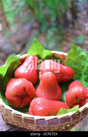 Un mucchio di deliziose e vivaci frutti di mele rosa con pelle di cera rossa Foto Stock