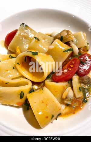 Pasta Paccheri con vongole pomodori ciliegini e prezzemolo in salsa di pesce primo piano della cucina mediterranea tradizionale italiana Foto Stock