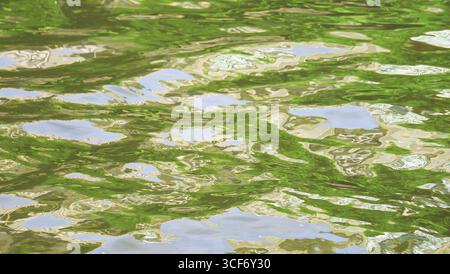 Le onde artistiche riflettono il verde fogliame e il cielo blu Foto Stock