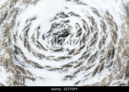 Corde di ormeggio coperte di neve, primo piano. Foto Stock