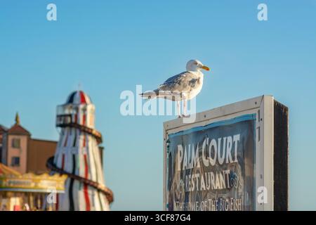 Molo di Seagull e Brighton Palace, Brighton, East Sussex, Inghilterra, Regno Unito Foto Stock