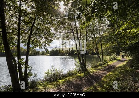 Sentiero circolare intorno all'Holzmaar nell'Eifel vulcanico, maars, maar, lago, riserva naturale, Gillenfeld, Renania-Palatinato, Germania Foto Stock