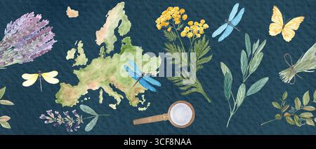 Mappa dell'Europa, elementi botanici, libellule, farfalla senza cuciture confine blu. Lavanda, salvia, mirtillo, tansy. Ideale per erboristeria Foto Stock