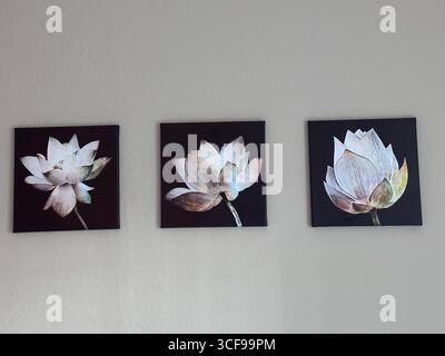 Arredamento minimalista con tre dipinti di fiori di loto in una disposizione trittico su una parete semplice. Foto Stock