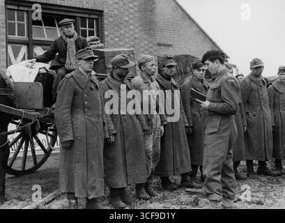 ALPHEN / GILZE, PAESI BASSI - 27 ottobre 1944 - Un agricoltore olandese con i suoi beni domestici su un carro agricolo guarda in basso su una linea di prigionieri di guerra tedeschi interr Foto Stock