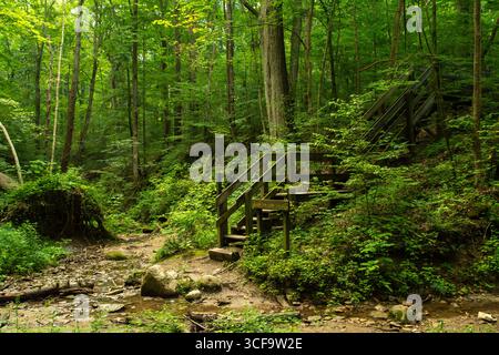 Percorsi escursionistici intorno al parco statale Shades. Indiana, Stati Uniti. Foto Stock