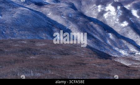 Le pendici a cascata di colline innevate si ergono alte contro un cielo limpido, mentre i toni terrosi degli alberi creano un contrasto incredibile in questo inverno sereno Foto Stock