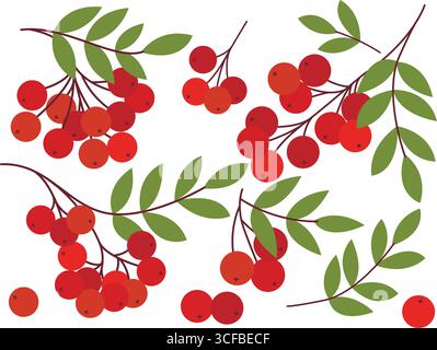 Set di bacche di rowan mature disegnate a mano. Arancia rossa bacche fresche di diverse varianti - su ramo con fogliame, in gruppo, singolo isolato su bianco Illustrazione Vettoriale