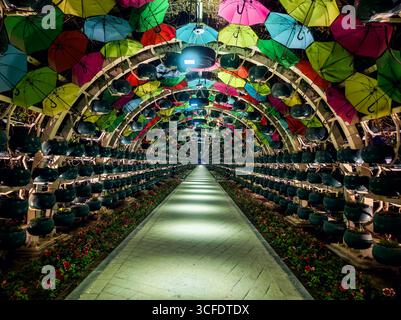 Colorata e bella firma del tunnel degli ombrelli per le foto. Attraversamento pedonale, protezione dal calore e ardesia luminosa a Doha in Qatar. Foto Stock