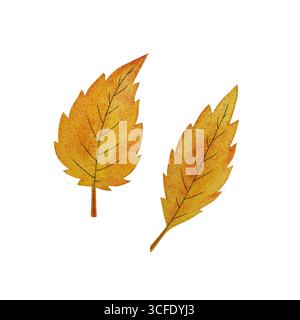 Acquerello foglie autunnali. Delicato fogliame giallo autunnale su sfondo bianco pulito. Perfetto per disegni, carte e sfondi stagionali. Dipinto a mano Foto Stock