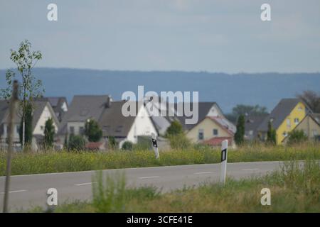 Leitpfosten an einer Landstraße in Deutschland , Deutschland, 22.08.2025, Straßenbegrenzungspfosten an einer Landstraße in Deutschland, typische Verkehrssicherheitseinrichtung am Straßenrand. *** Delineator posta su una strada di campagna in Germania , Germania, 22 08 2025, posto delineatore stradale su una strada di campagna in Germania, tipico dispositivo di sicurezza stradale stradale Foto Stock